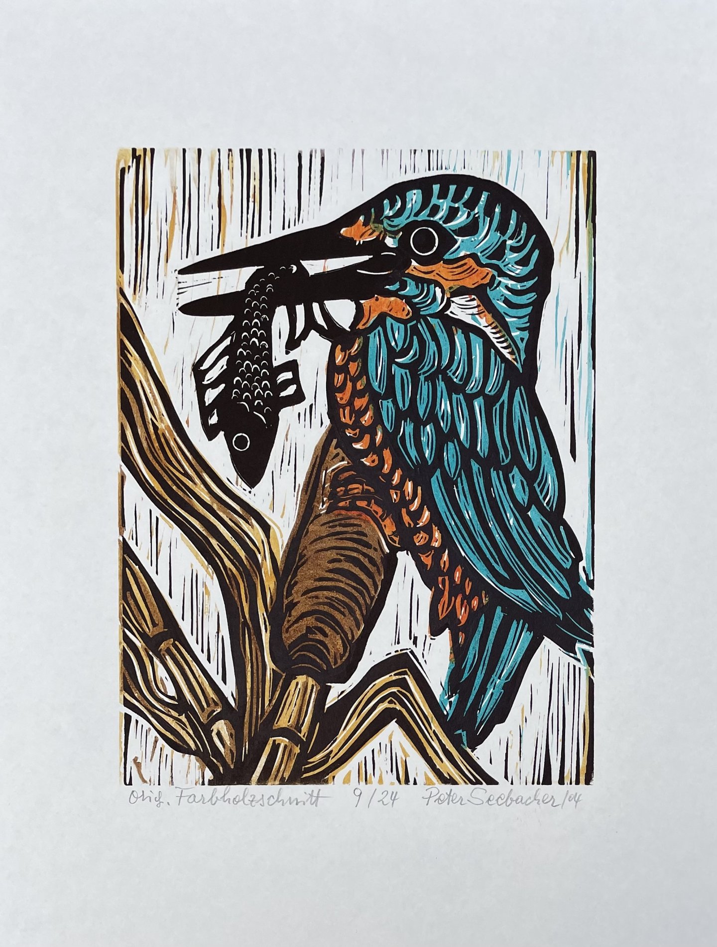 Seebacher Peter - Eisvogel 