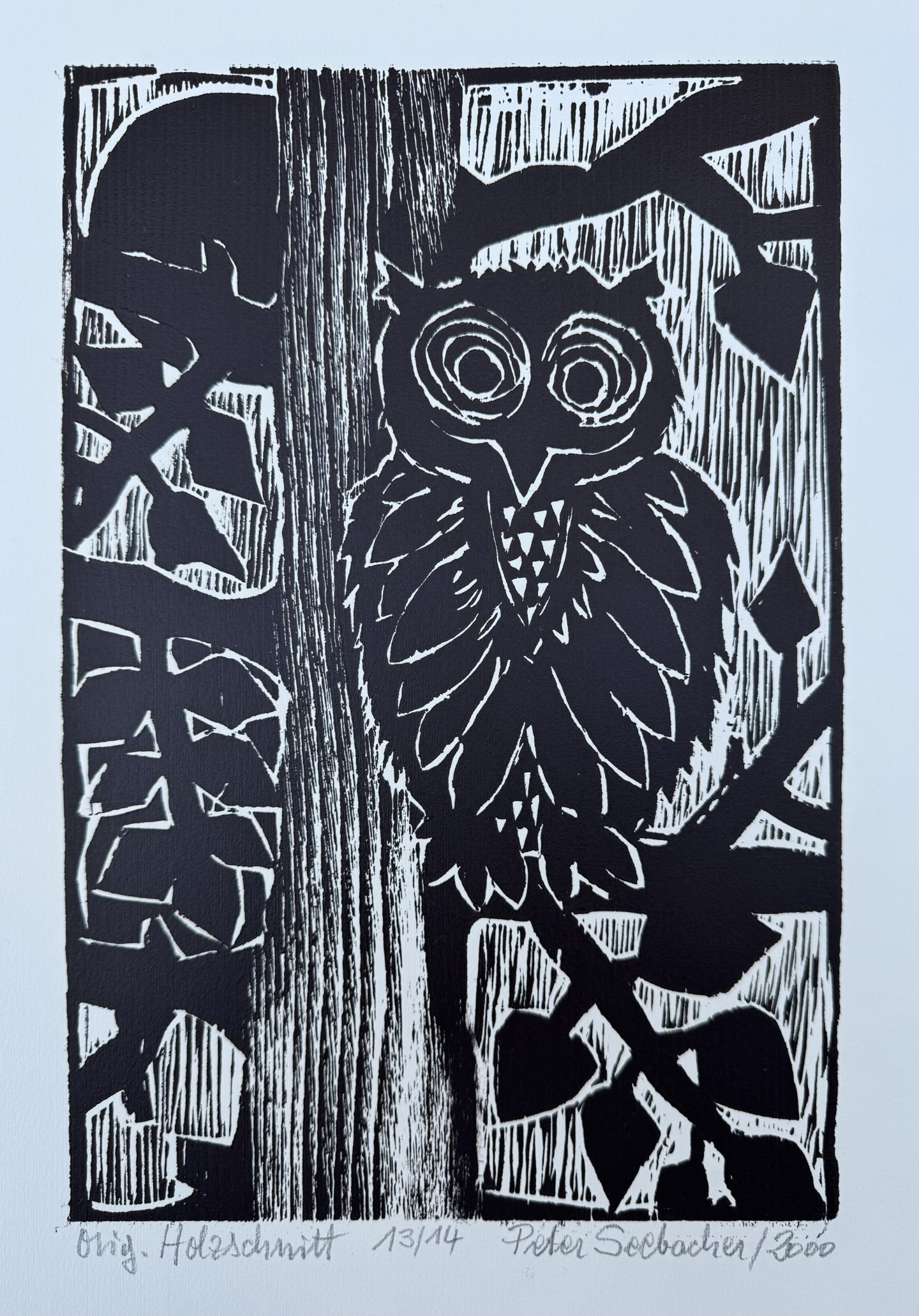 Seebacher Peter - Eule im Baum