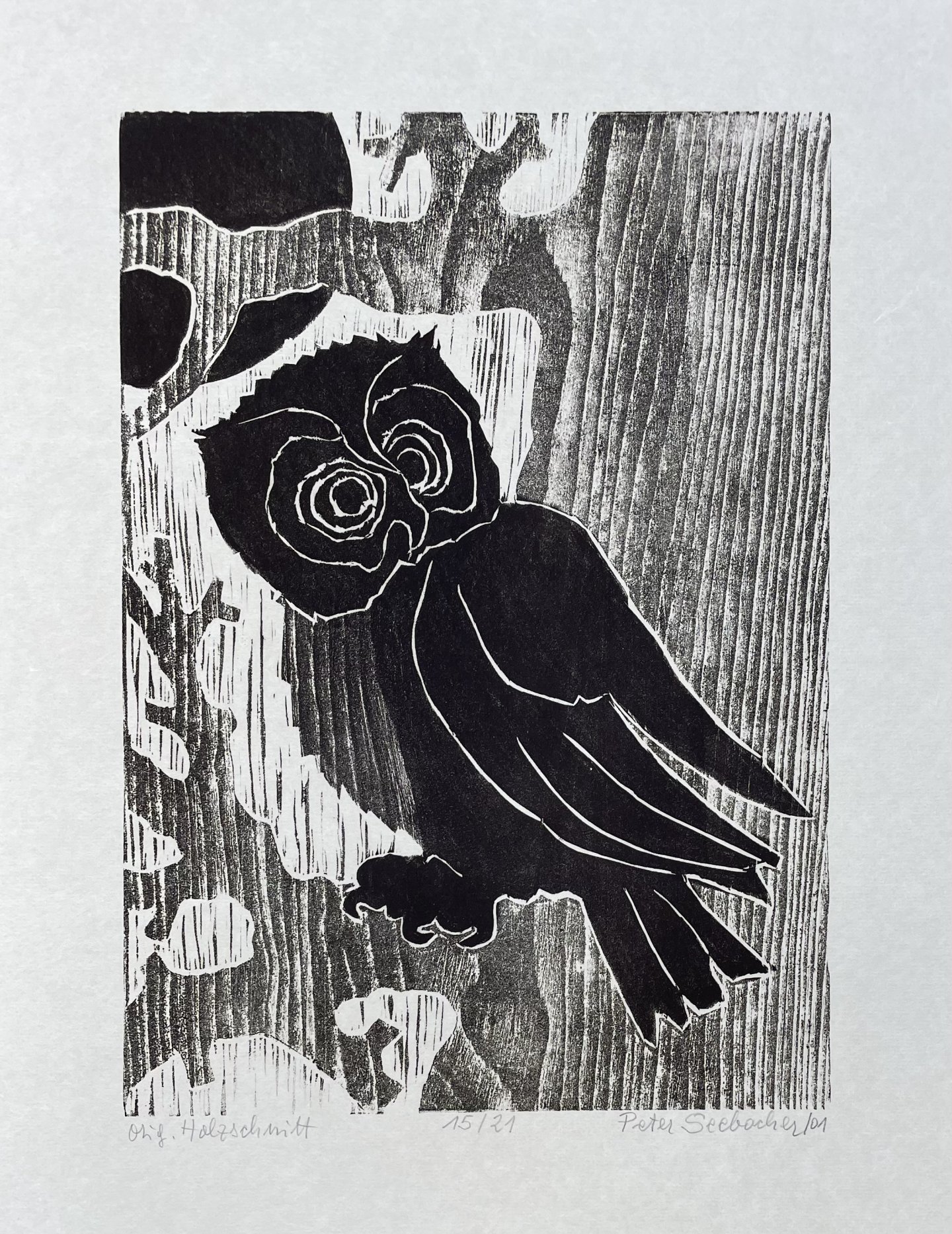 Seebacher Peter - Eule monochrom