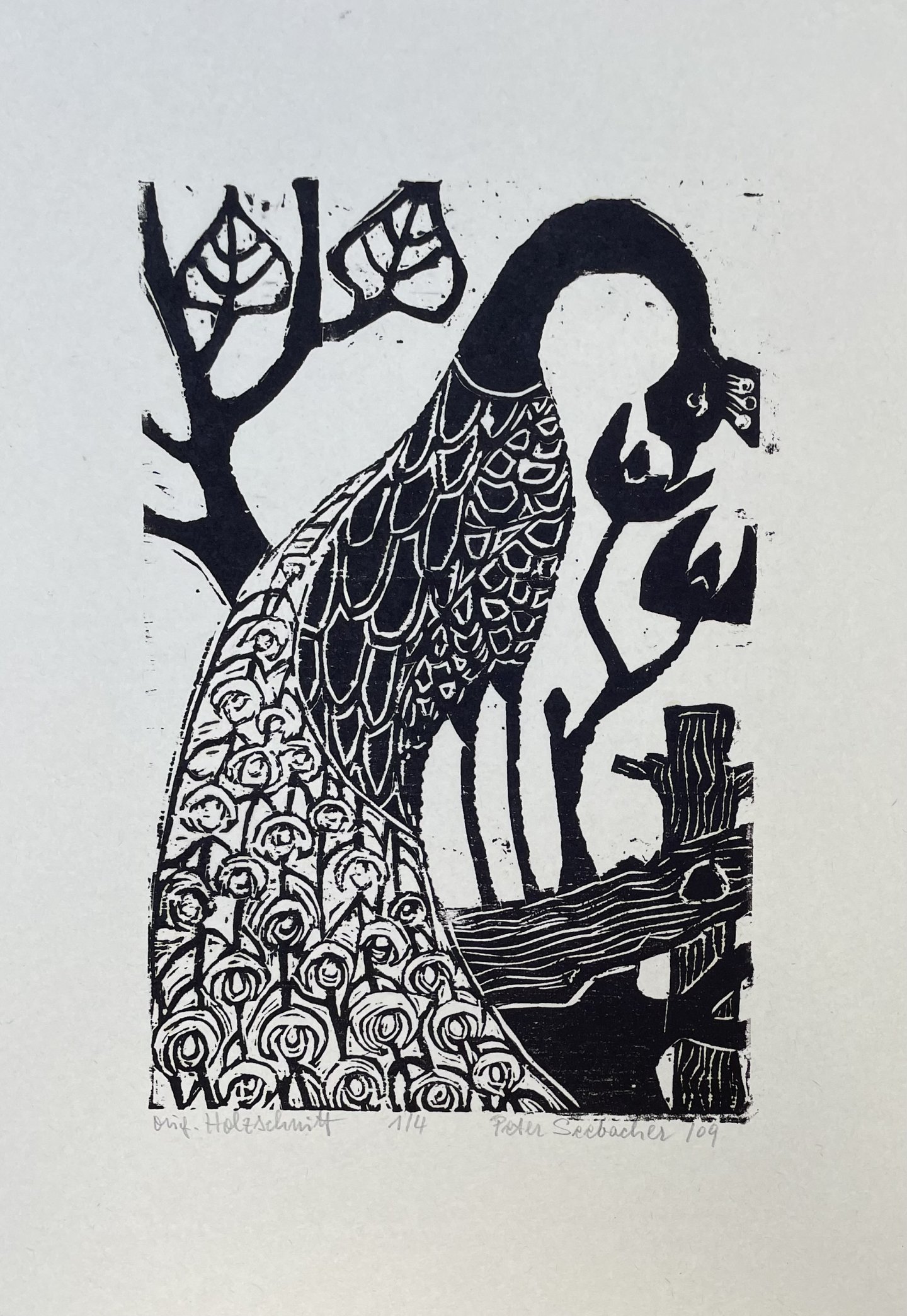 Seebacher Peter - Pfau Monochrom