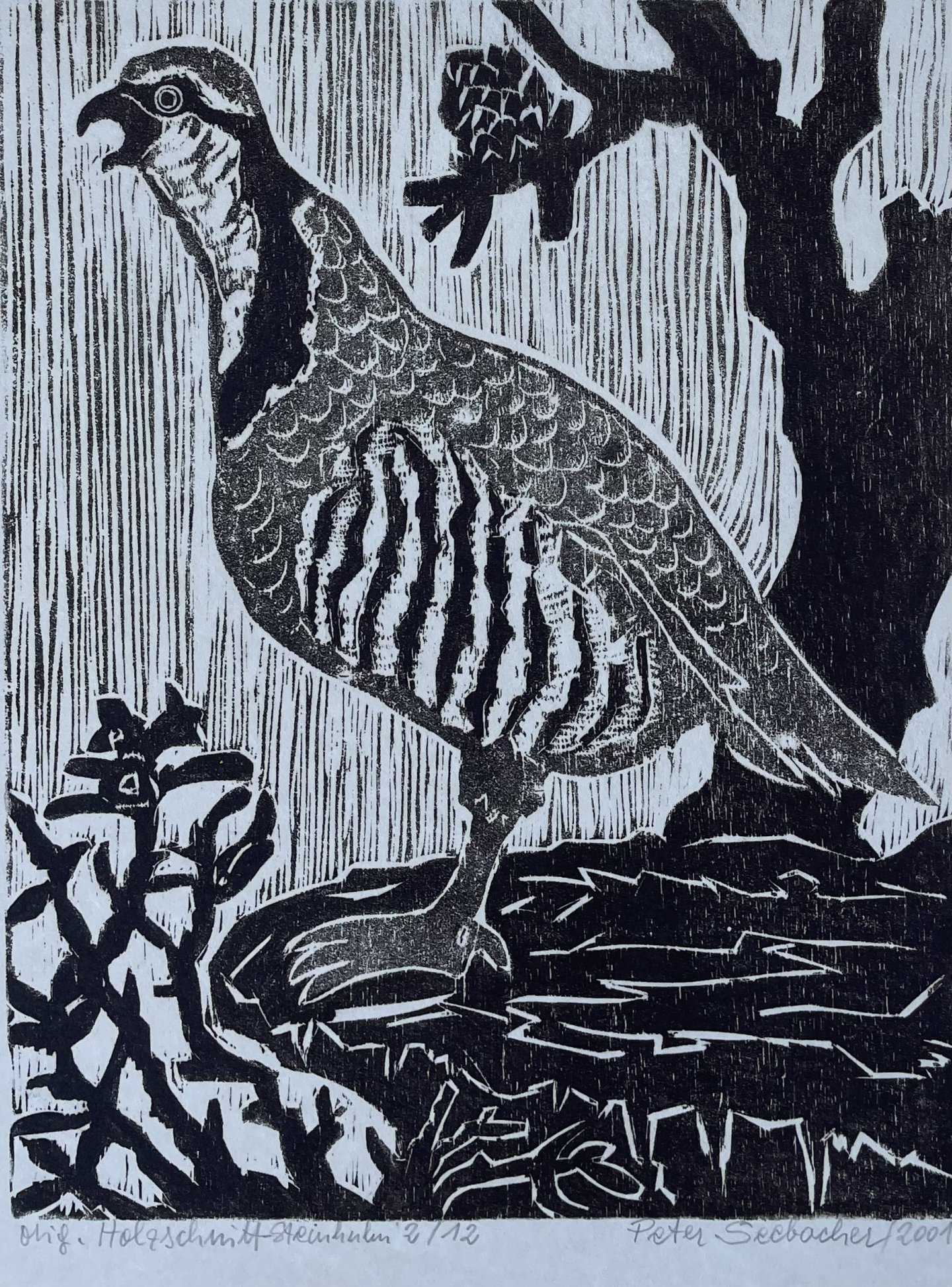 Seebacher Peter - Steinhuhn