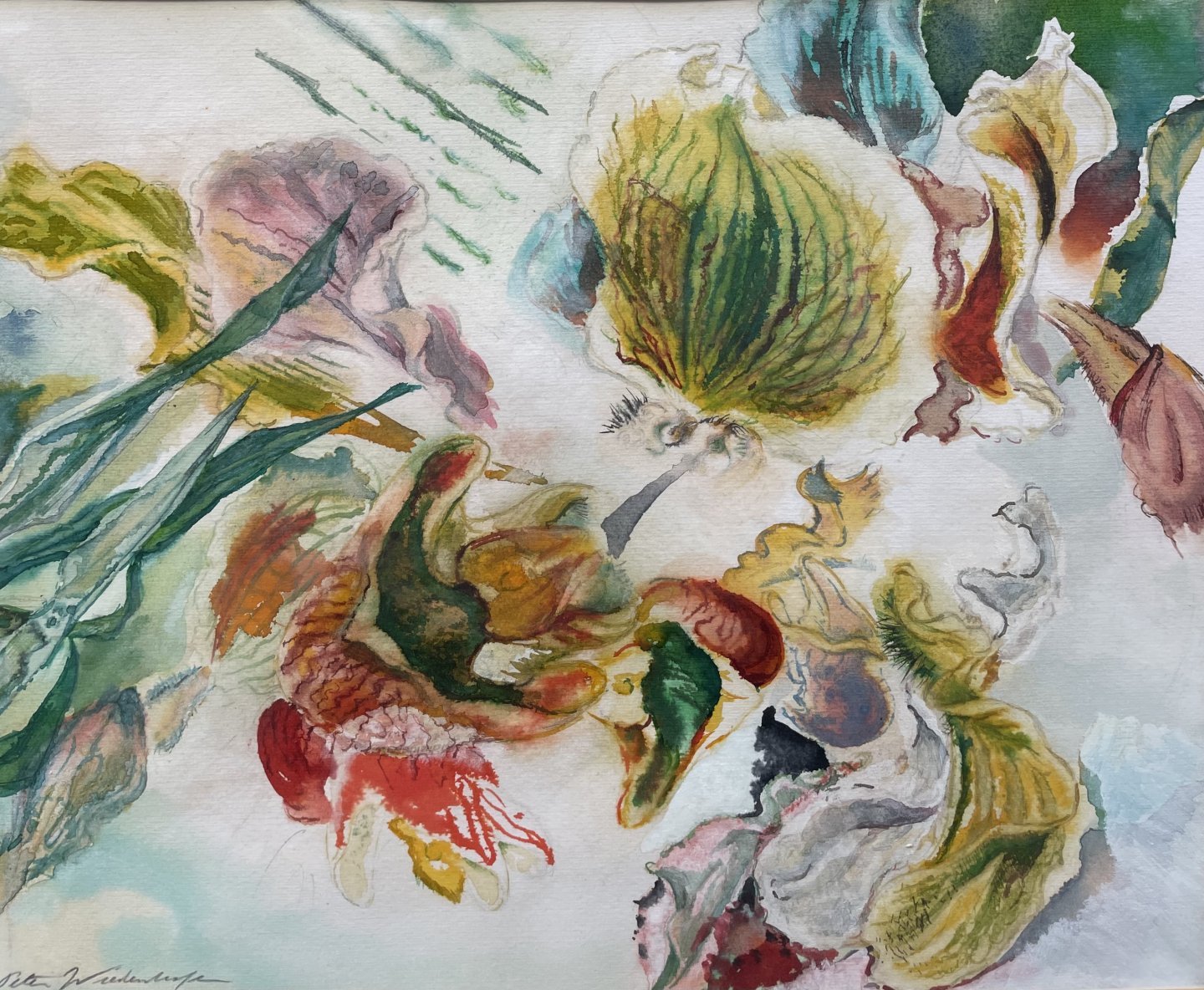 Wiedenhofer Peter - Blüten