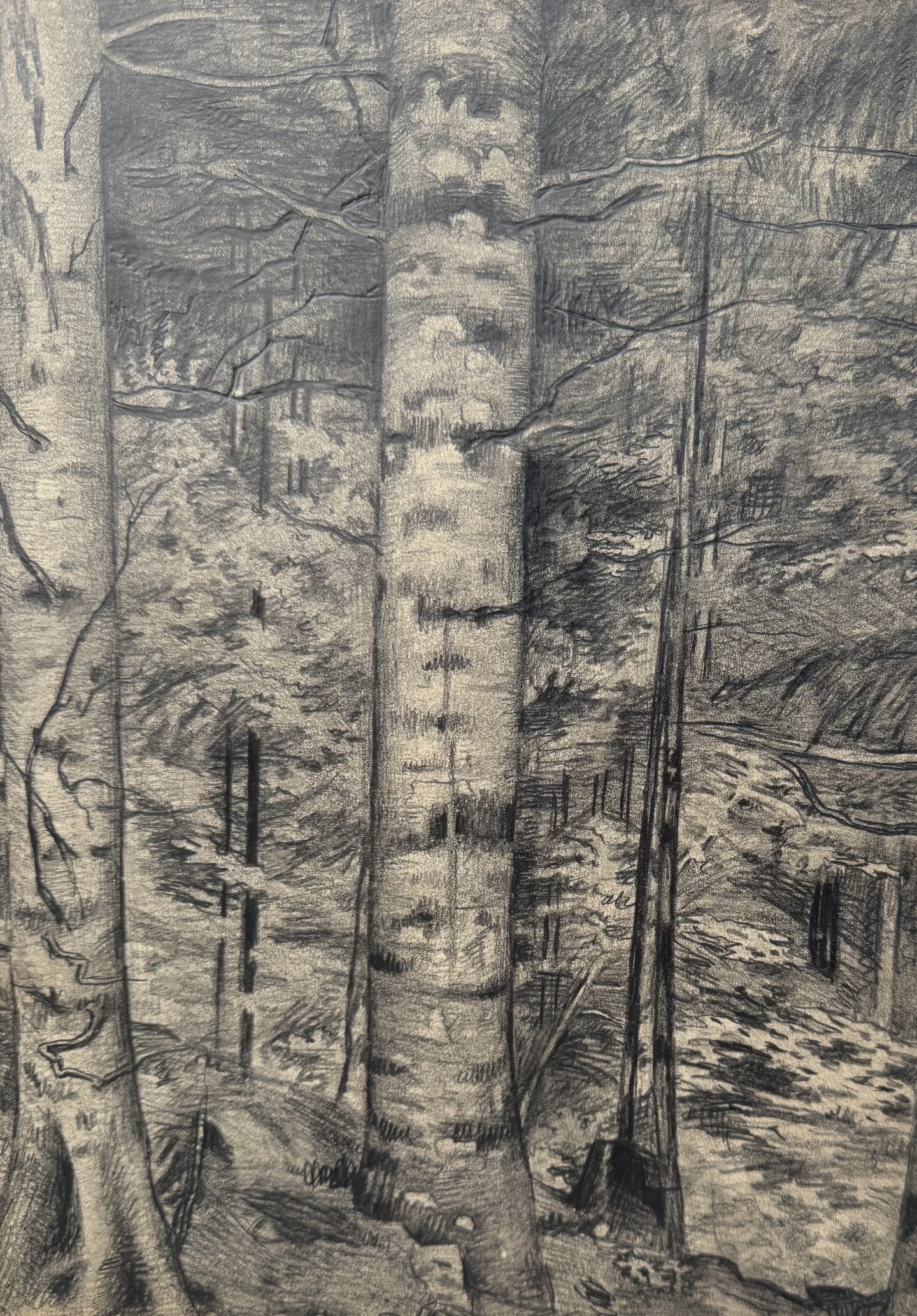 Wolff Richard - Kohlerer Wald