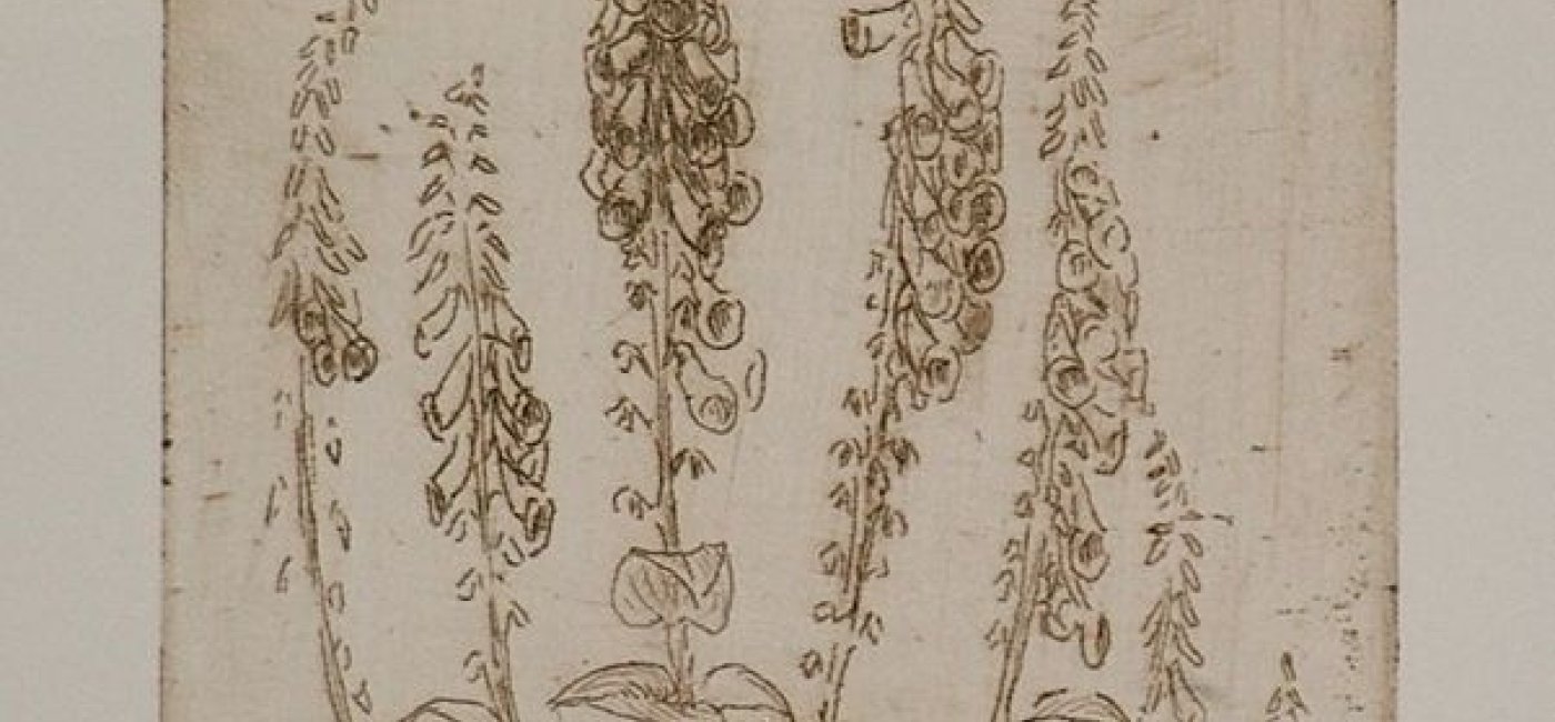Delago Maria - Blumen
