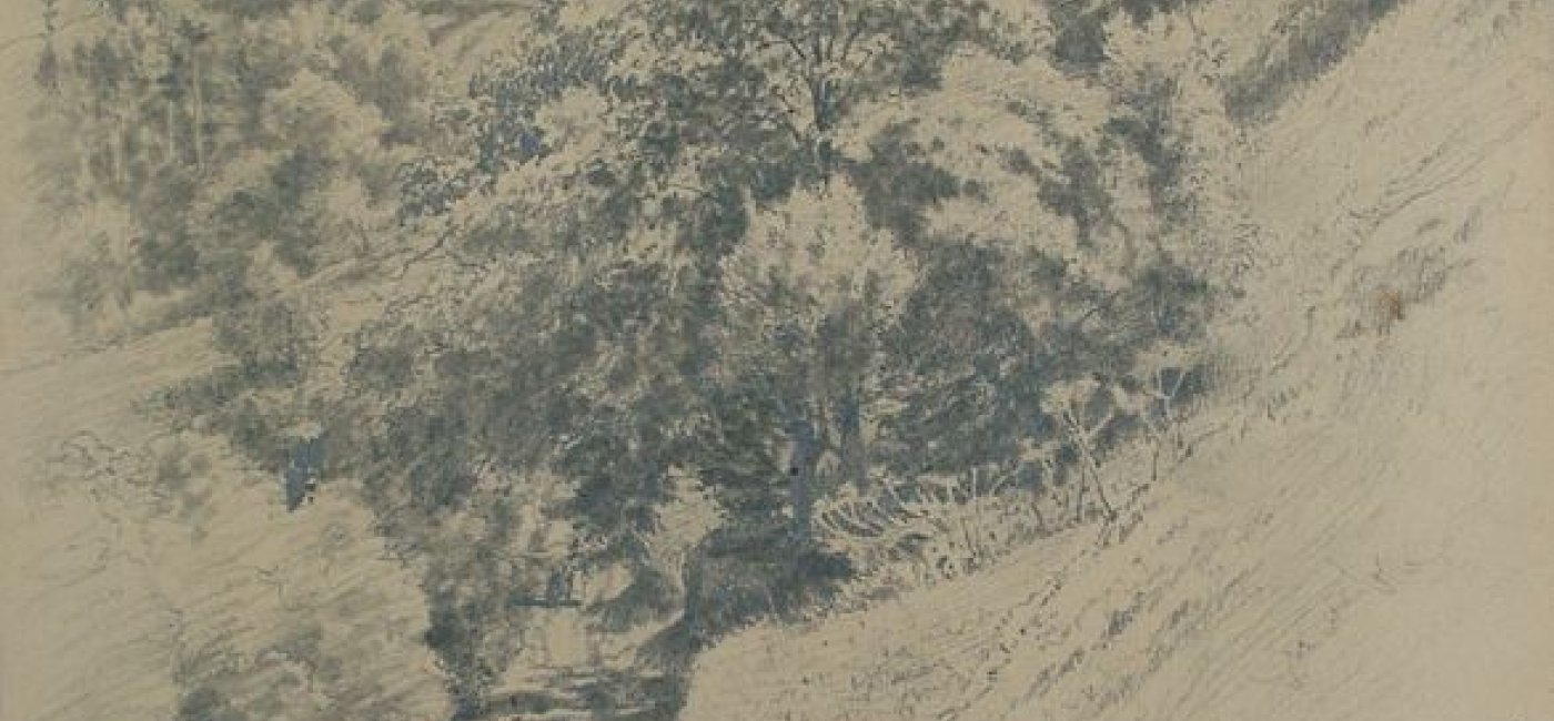 Plass Ernst Ludwig - Burg Anger