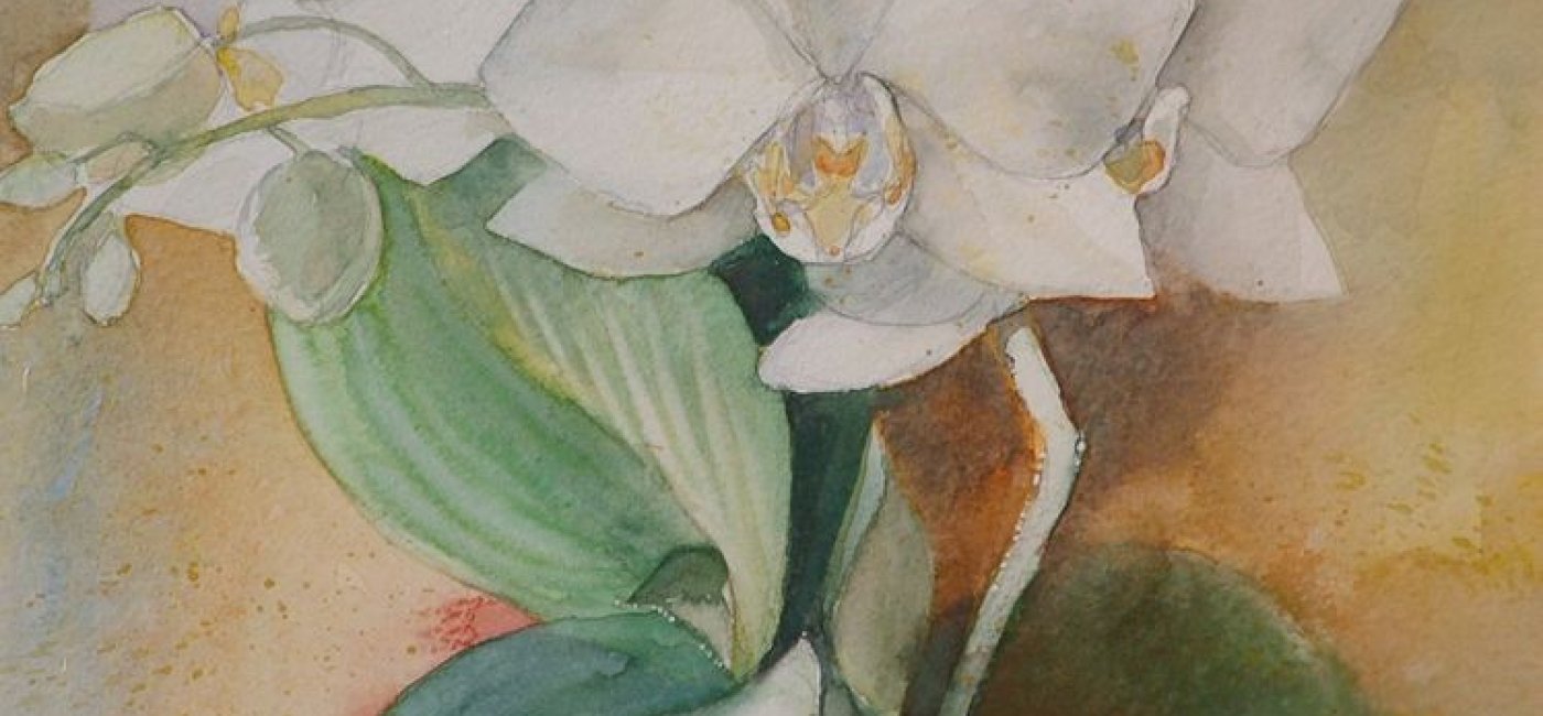 Wilde Carol - Orchidee