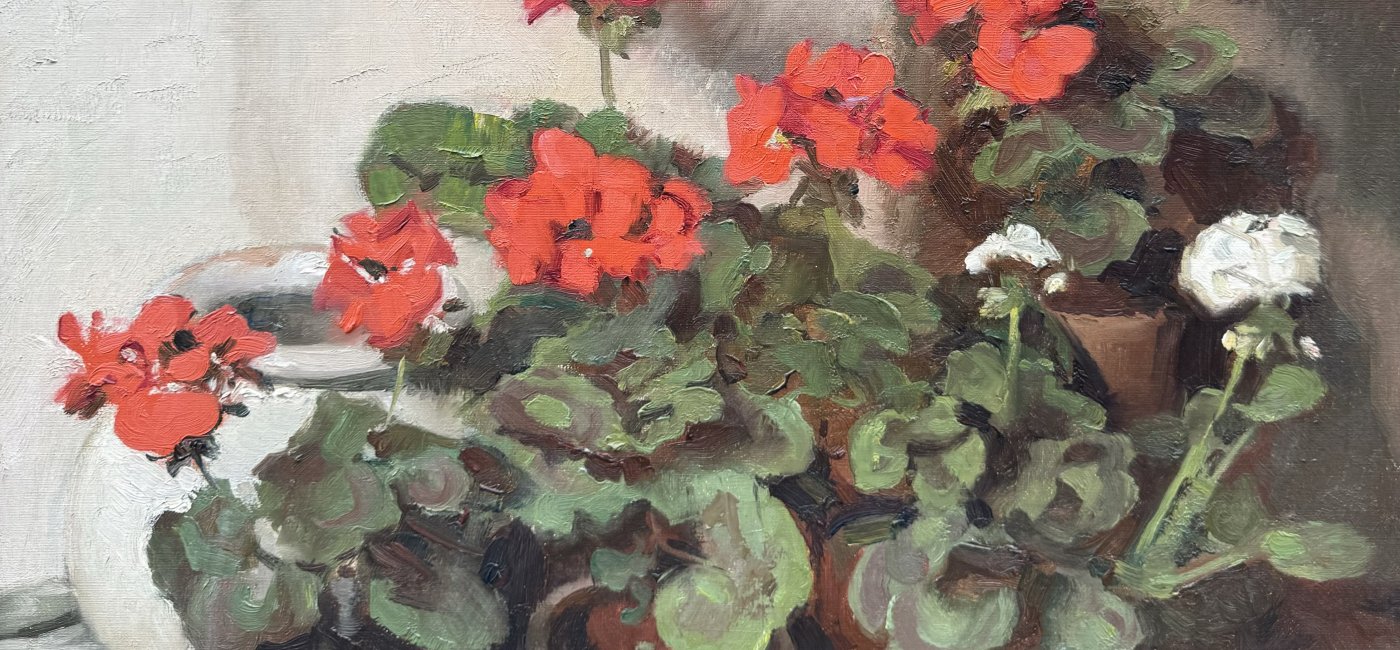 Giovacchini Ulderico - Geranien
