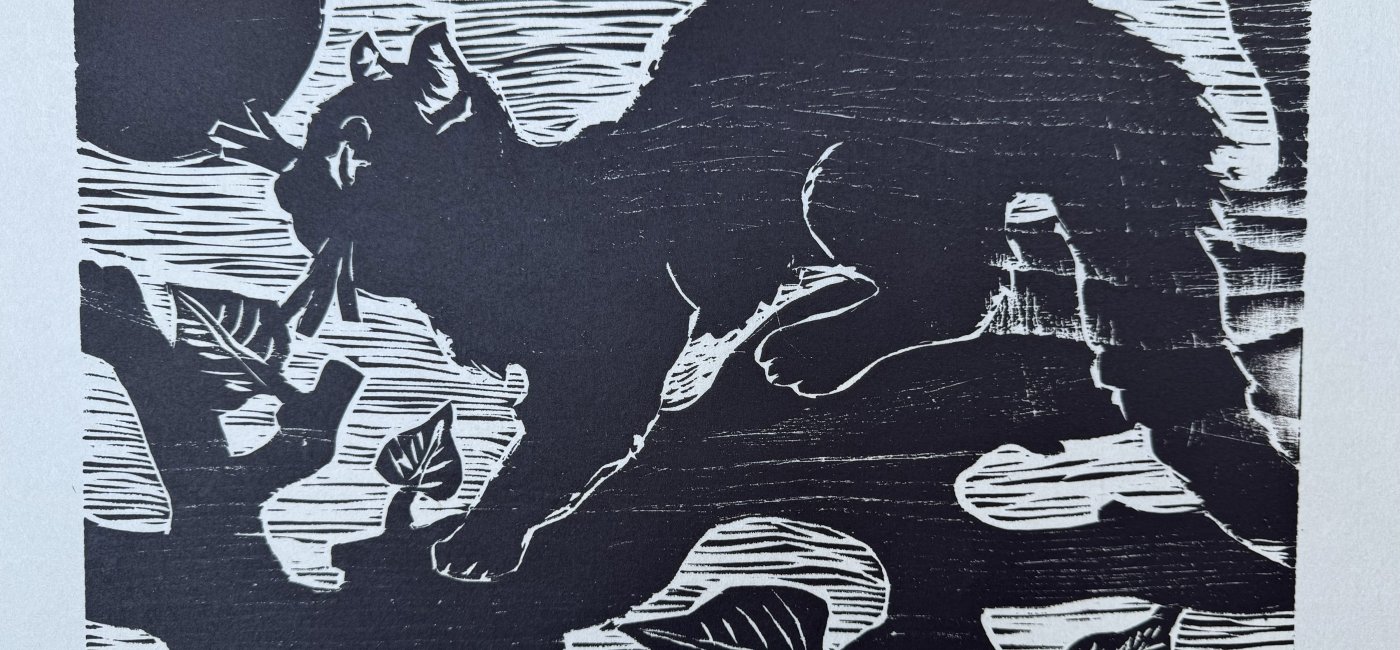Seebacher Peter - Katze auf der Pirsch