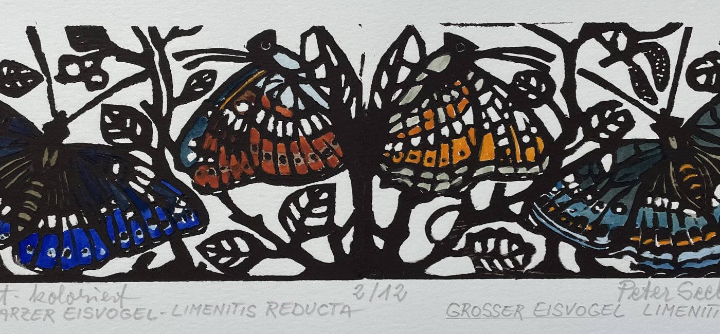 Seebacher Peter - Schmetterling Blau Grün